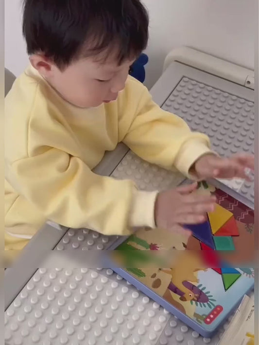 Pinwheel Magical Tangram Papan Tangram Magnetik Mainan Edukatif Anak 3 Tahun Latihan Kreativitas